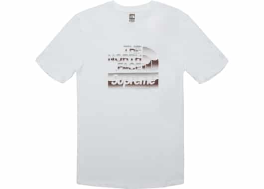 Supreme The North Face Metallic Logo Tee White