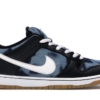 fast times nike sb