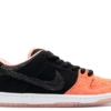 Nike Dunk SB Low Premier Fish Ladder