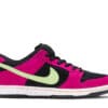 Nike SB Dunk Low Pro ACG Terra Red Plum