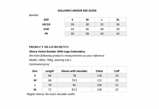 Galliano Landor Logo Embroidery Velvet Bomber Silvery Grey - Image 3