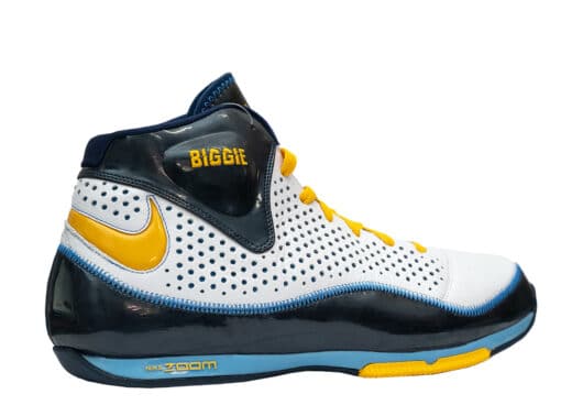 Nike Air Zoom BB 'Damon Stoudamire' Biggie PE