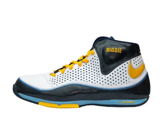 Nike Air Zoom BB 'Damon Stoudamire' Biggie PE