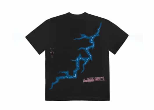 Travis Scott Cactus Jack For Fragment Danger Tee Washed Black