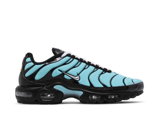 Nike Air Max Plus Aqua Blue