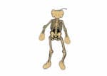 KAWS-Skeleton-Board-Cutout-