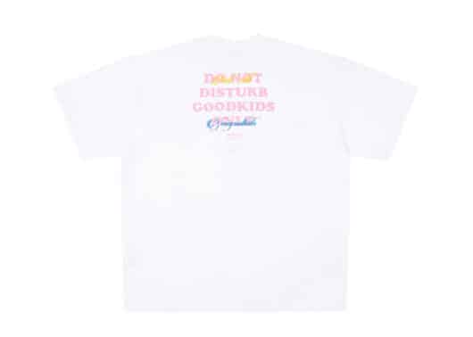 A Few Good Kids Rainbow Do Not Distrub Tee White back view