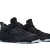 Air Jordan 4 Retro Kaws Black overall view