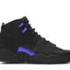 Air Jordan 12 Retro Black Dark Concord right view