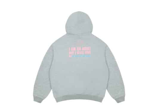 A Few Good Kids & Old Friends (FW23) Dog Hoodie Grey - Image 2