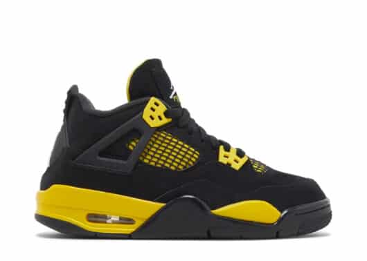 Air Jordan 4 Retro Thunder (2023) (GS) right view