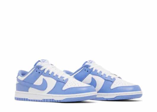 Nike Dunk Low Polar Blue total view