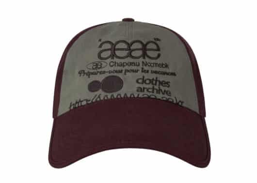 Aeae Web Logo 5 Pannel Ball Cap Burgundy Grey