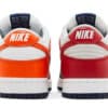 Dunk Japan Back View