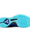 Kobe 5 x ray bottom view