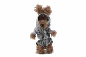 SFSG Grey Yoga Puppy Key Chain Brown SFG4EAC006