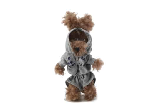 SFSG Grey Yoga Puppy Key Chain Brown SFG4EAC006