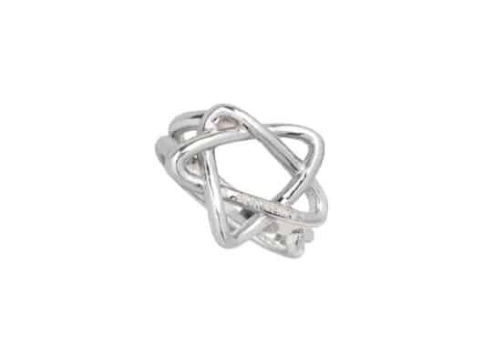 Sentiments Ring 925 Silver No.381 Full View