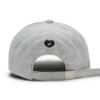 Awsome Needs Basic Ball Cap Ribbon Grey Back View