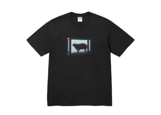 Supreme Damien Hirst Tee Black