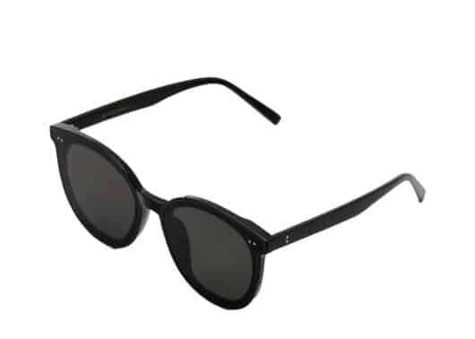 BLUE ELEPHANT Sunglasses HAN Black Full View