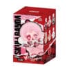 Pop Mart SKULLPANDA Winter Symphony Series Vinyl Face Plush Pendant Single Blind Box