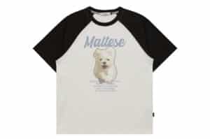 Wai Kei Cloud Illustration Raglan Tee White