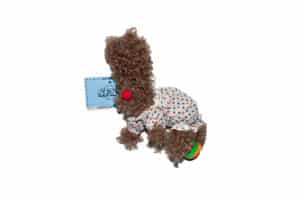 SFSG Clown Puppy Key Chain Brown SFG5BAC038