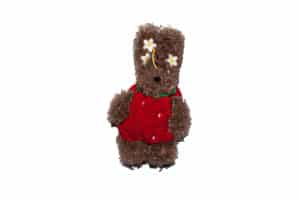 SFSG Strawberry Scribble Puppy Brown SFG5BAC066