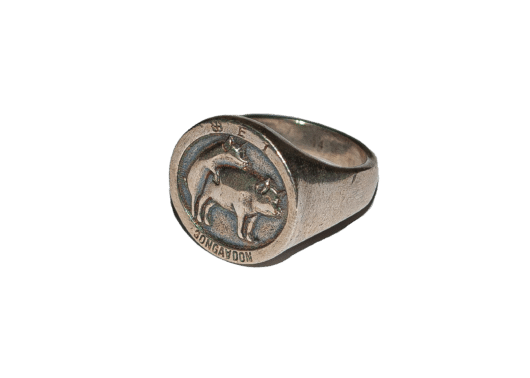 SONGAADON Art Or Atrocity Ring Silver