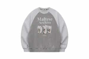 Wai Kei Maltese Archive Raglan Man to Man Crewneck Grey