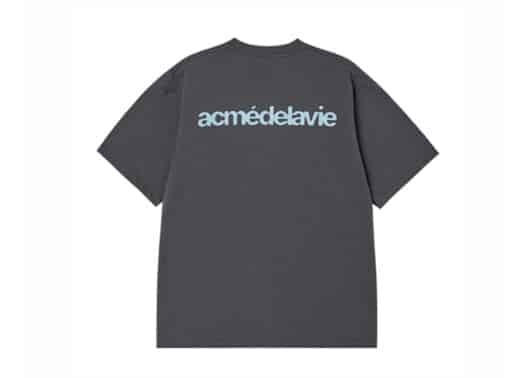 ADLV AC Bear Statue Of Liberty Tee Charcoal - Image 2