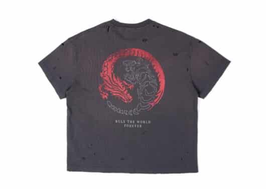 REGEN-ZONE-25SS-RIOT-Tiger-Destroyed-Washed-Tee-Deep-Grey