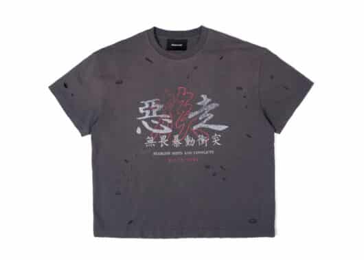 REGEN-ZONE-25SS-RIOT-Tiger-Destroyed-Washed-Tee-Deep-Grey
