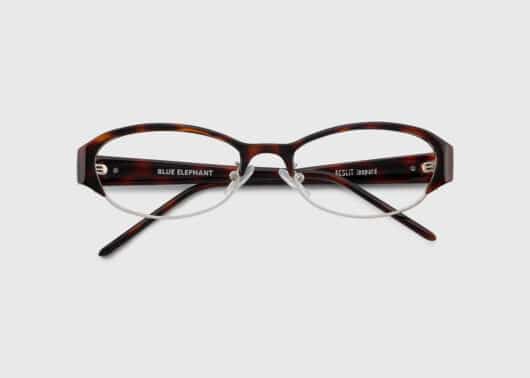 BLUE-ELEPHANT-Glasses-AESLIT-Leopard