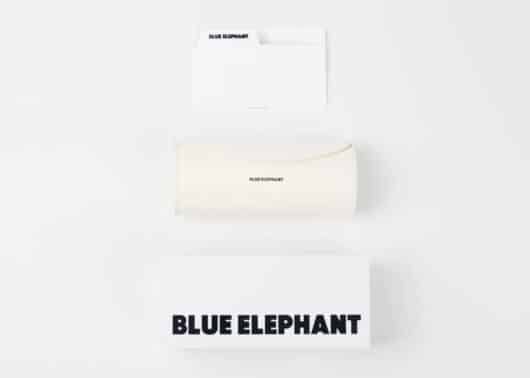 BLUE ELEPHANT SunGlasses BIN Brown - Image 6