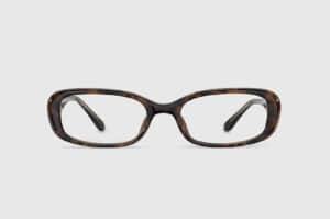 BLUE-ELEPHANT-Glasses-AIDE-Leopard