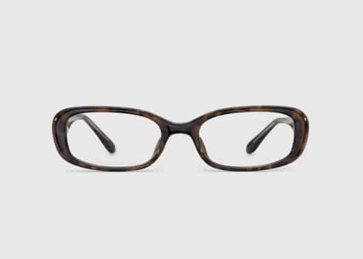 BLUE-ELEPHANT-Glasses-AIDE-Leopard