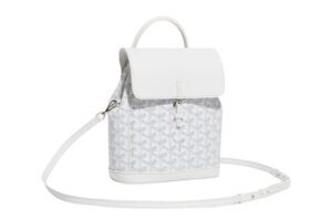 Goyard Alpin Mini Backpack White Full View