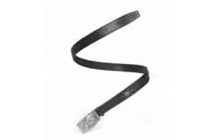 REGEN ZONE 25FW 110CM SIAU Gemstone Raptor Eagle Leather Belt Black